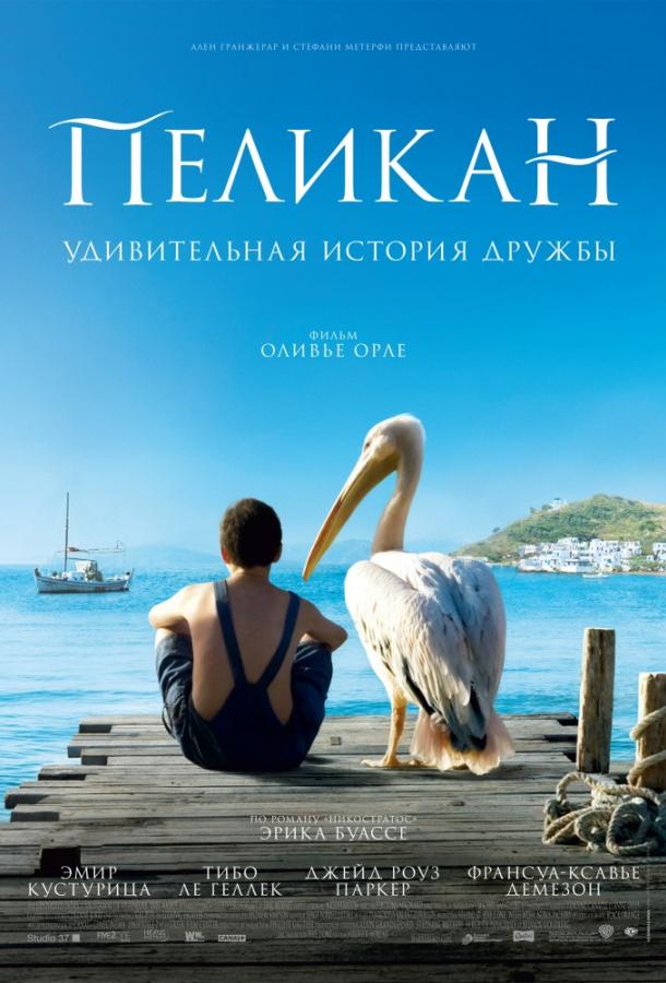 Фильм Пеликан 2011 смотреть онлайн: драма с Эмиром Кустурицей